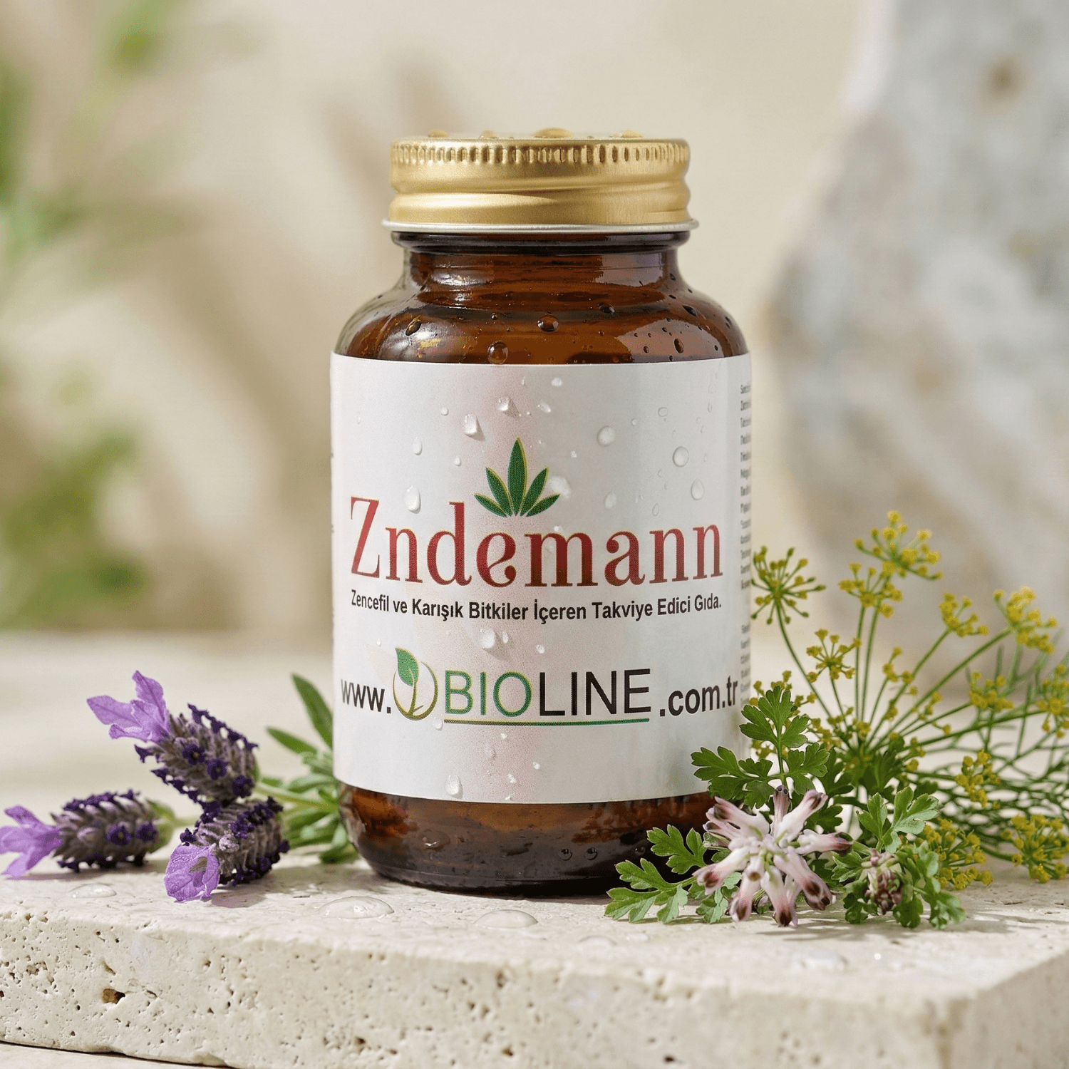 Zndemann 45 GR